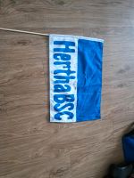 Hertha fane Berlin - Reinickendorf Vorschau