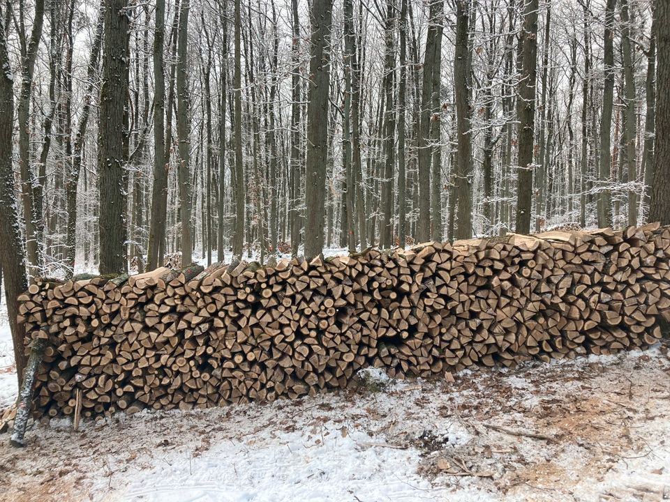 Brennholz Eiche/Buche Kaminholz/Ster in Münnerstadt