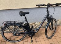 E-bike Pedelec Rixe Bordeaux Brandenburg - Ludwigsfelde Vorschau