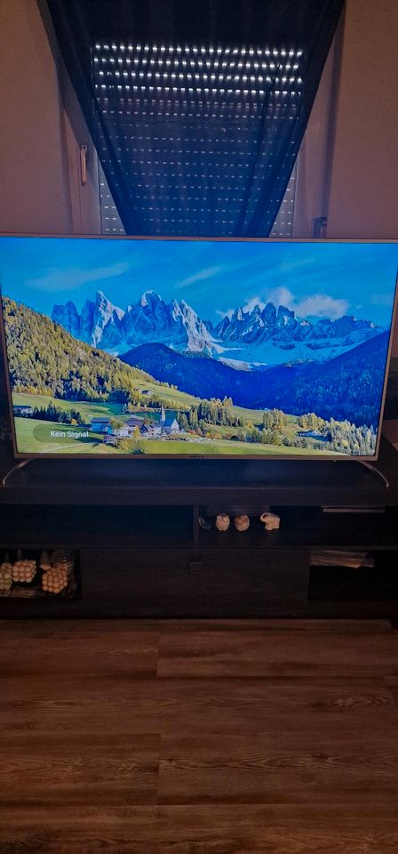 Android TV 55 Zoll in Hauneck