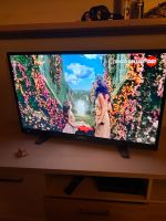 Grundig TV Fernseher 40 Zoll TV 40 VLE 6526 BL Baden-Württemberg - Grafenberg Vorschau