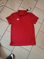 Adidas T-shirts gr M neu Nordrhein-Westfalen - Krefeld Vorschau