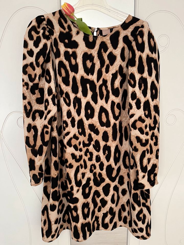 Apartes H&M Kleid Animalprint XL 42  (44 46) Topzustand schwarz in Stuhr