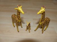 Playmobil Giraffenfamilie Zubhör Zoo Bielefeld - Schildesche Vorschau