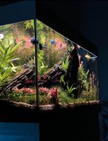 180liter Aquarium Juwel zu verkaufen (leer) Baden-Württemberg - Heidelberg Vorschau