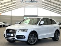 Audi Q5 3.0 TDI  Quattro S-Line/ACC/STHZ/TOTWINKEL/ Brandenburg - Brandenburg an der Havel Vorschau