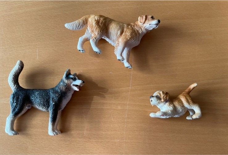 Schleich Hunde (3 Stück) Golden Retriever, Husky, Bernhardiner in Billerbeck