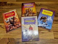 ⚡Fantasy Bücher~Jennifer Roberson~4x Schwerttänzer-Zyklus~kompl.! Brandenburg - Ferch Vorschau