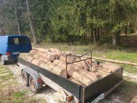 Brennholz Fichte 35€/rm  Kaminholz Holz zum selberspalten Thüringen - Kaltenlengsfeld Vorschau