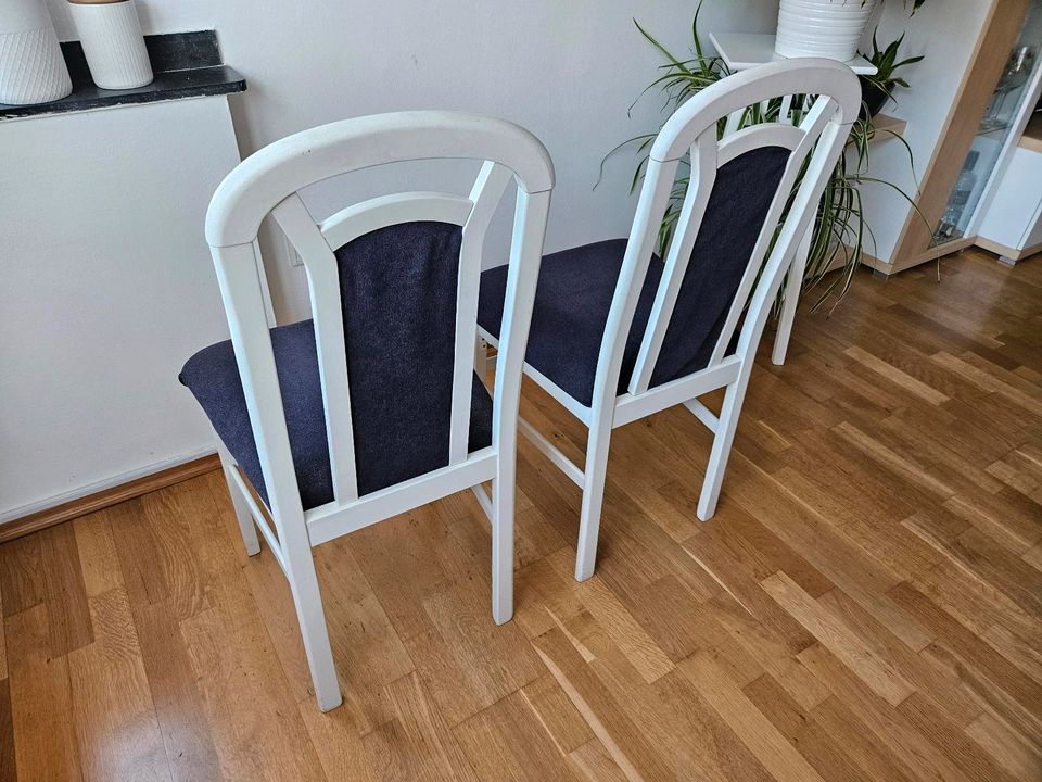 4 Massivholz Esszimmerstühle Essstühle Küchenstühle Stühle in Düsseldorf