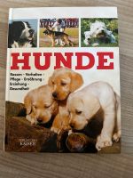 Fachbuch Hunde verlegt bei Kaiser Baden-Württemberg - Argenbühl Vorschau