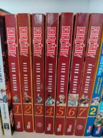 Verkaufe Fairy Tail Manga Hannover - Kirchrode-Bemerode-Wülferode Vorschau