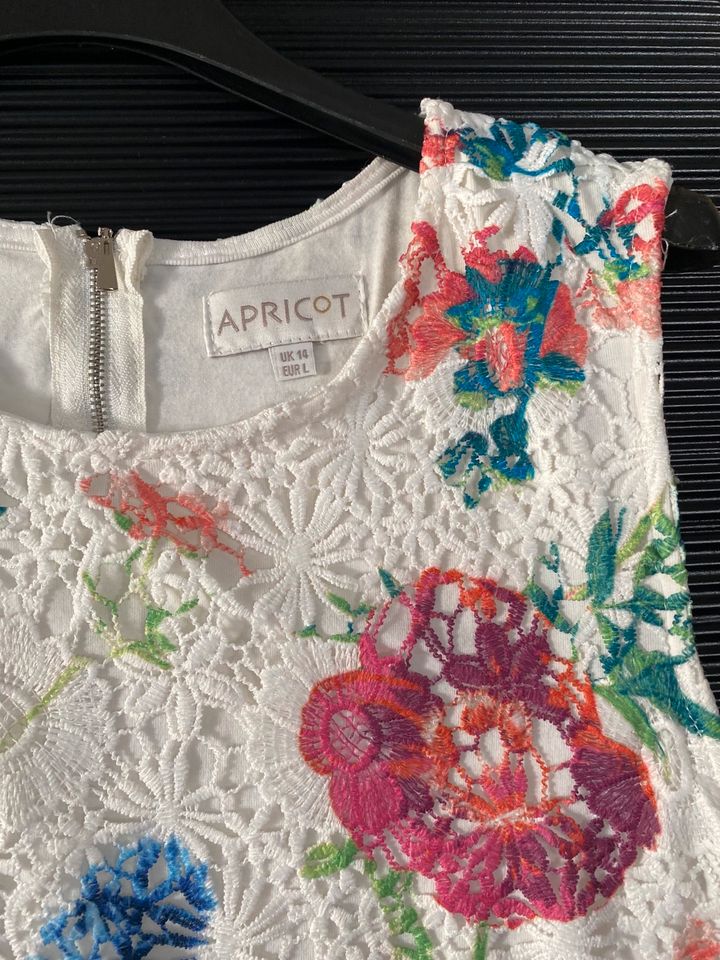 Kleid von Apricot | Gr. L in Winnenden