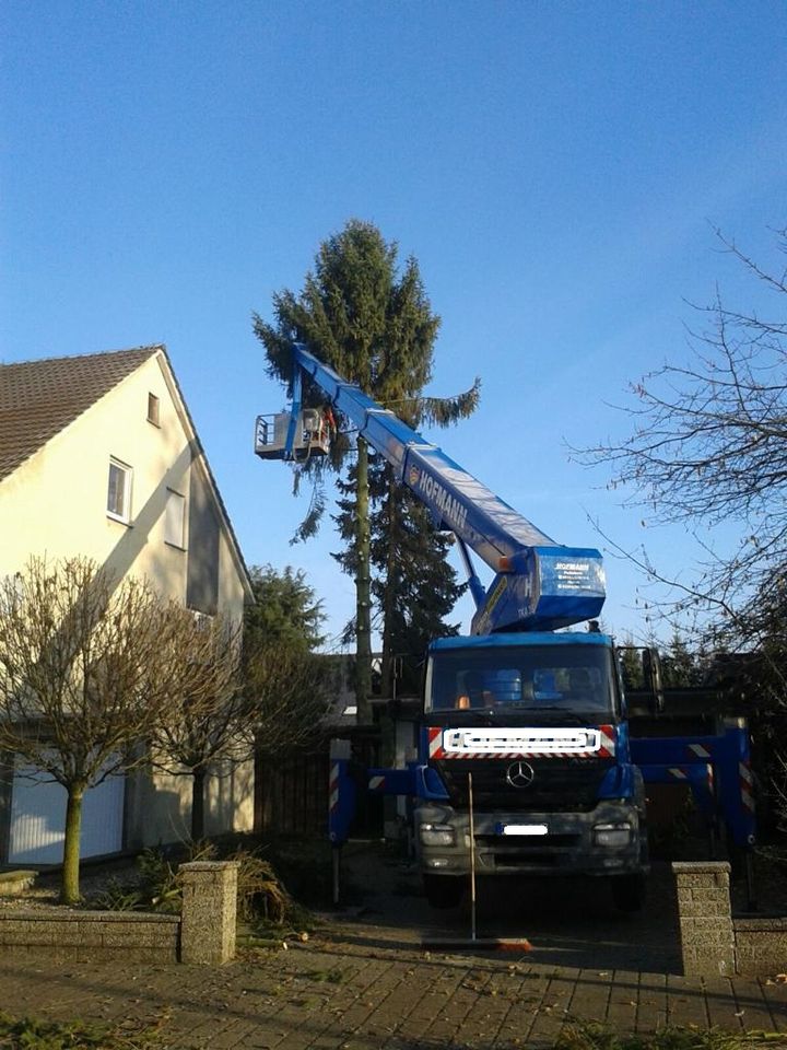 Baumpflege Baumfällung Sturmschädenbeseitigung in Schlangen