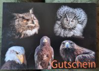 Gutschein "The big five" Greifvogelwarte Feldatal Niedersachsen - Salzhemmendorf Vorschau