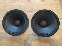 2 x Altec Lansing 3156 Tieftöner in top Zustand Bayern - Rudelzhausen Vorschau