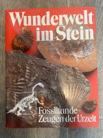 Wunderwelt im Stein Fossilfunde - Zeugen der Urzeit Geologie Buch Leipzig - Leipzig, Zentrum Vorschau