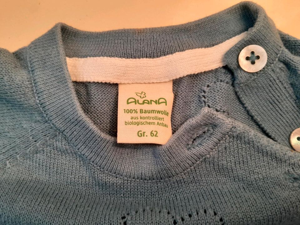 Babypullover Alana Gr 62 in Gleichen