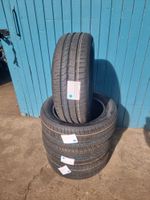 205/55R16 91V Falken Ziex ZE 310 Sommerreifen neu Audi VW Skoda Chemnitz - Glösa-Draisdorf Vorschau