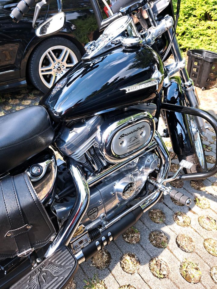 Harley davidson sportster 880 xlH Hugger in Bielefeld