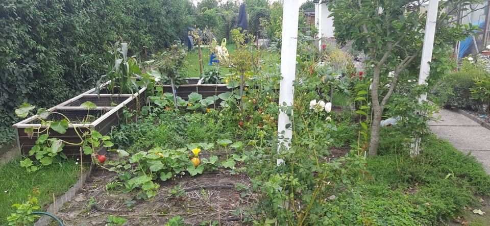 Kleingarten - 354m² - super schön, ab in die Natur in Schkeuditz