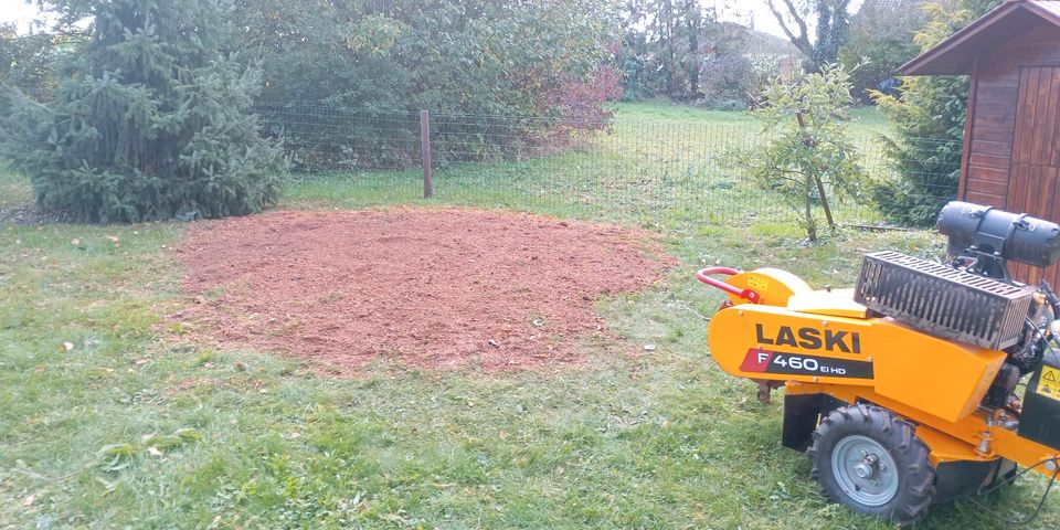 Baumstumpf, Baumstubbe, Wurzelstock ausfräsen/entfernen in Cleebronn