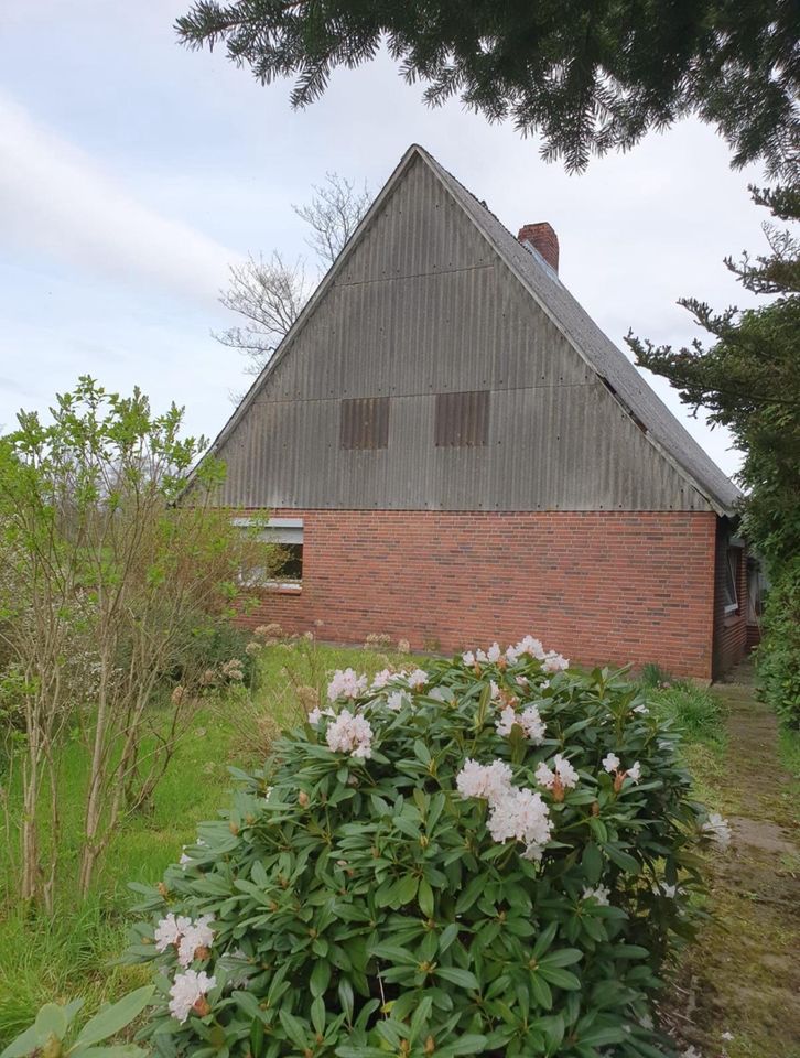 Isensee, ehem. Bauernhof/Resthof auf 15.000 m² , in  Alleinlage in Osten Oste