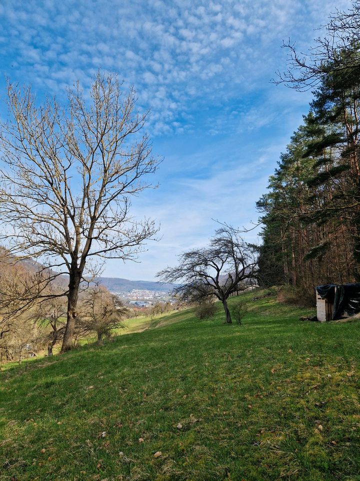 Wiese / Freizeitgrundstück in Bad Überkingen in Geislingen an der Steige