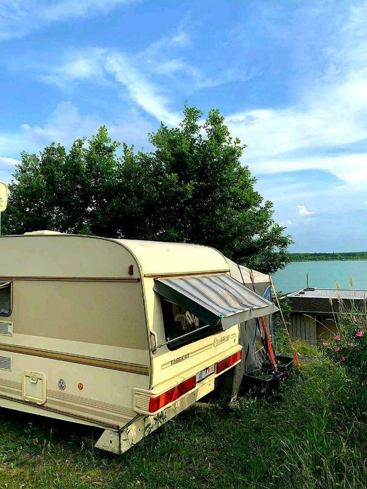 Urlaubsplätze noch verfügbar! in Leipzig,Thüringen, Ostsee in Kitzscher