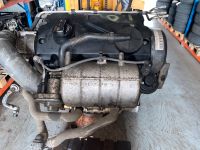 Motor Diesel VW CADDY III 3 2.0 SDI 51kW 70PS BST PL61 14458 Sachsen-Anhalt - Coswig (Anhalt) Vorschau