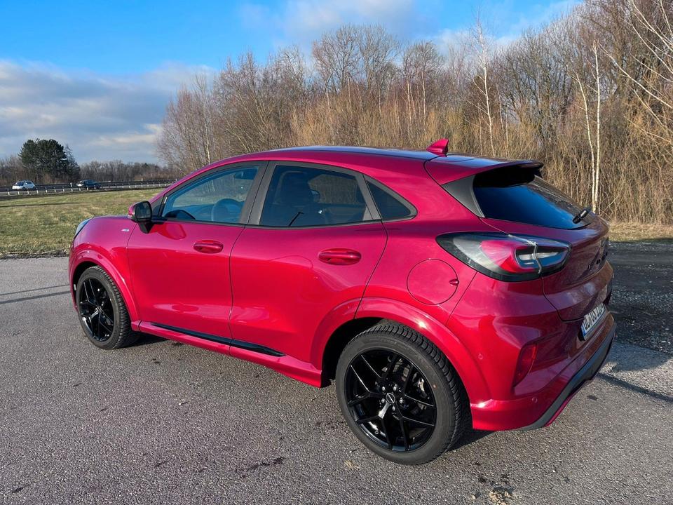 Ford TOP - Puma 1,0 EcoBoost Hybrid 114kW ST-Line X in Langenau