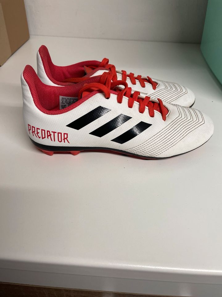 Adidas Fußballschuhe Predator Gr 36 in Seelze