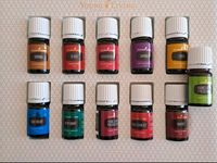 Young living Copaiba, RC, Frankicense, Blue Relief, Digize Orange Nordrhein-Westfalen - Paderborn Vorschau