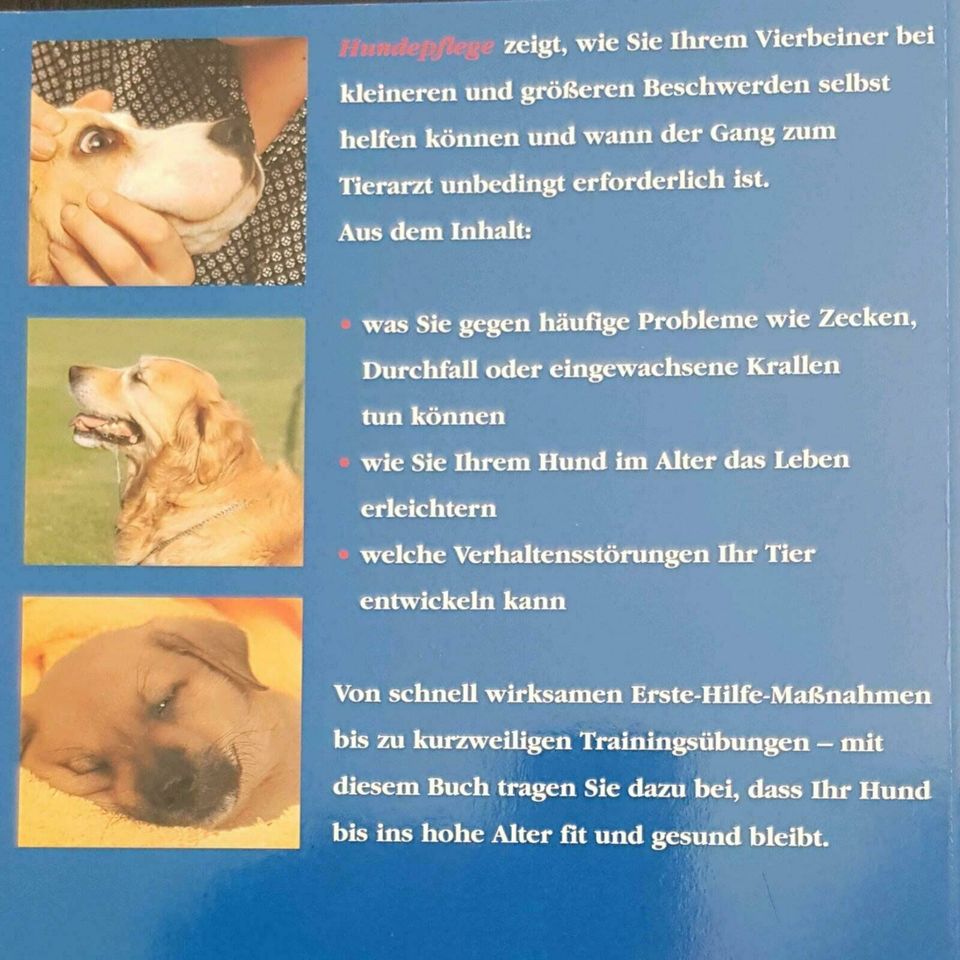 Hunde Pflege richtig durchführen Probleme Beschwerden Hund in Köln