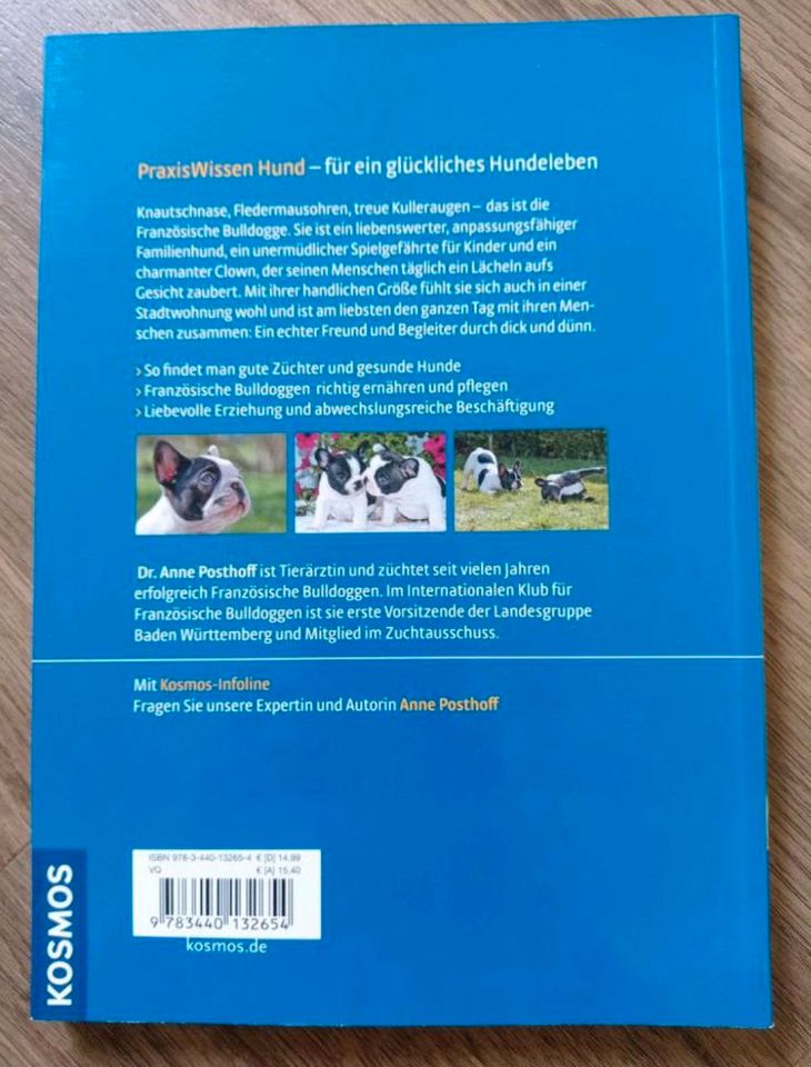 Französische Bulldogge, Praxisbuch (NP:14.99€) in Coswig