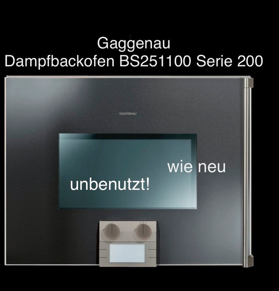 wie neu Gaggenau Dampfbackofen BS251100 Serie 200 Dampfgarer Mikr in Weilerbach