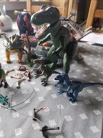 Playmobil Dinos The Explorers Hessen - Butzbach Vorschau