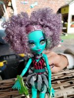 Monster High Freak du chic Honey Swamp Niedersachsen - Ostercappeln Vorschau