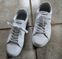Sneakers wohl weißes Leder in Größe 40,5 von Lacoste --- neu Sachsen - Riesa Vorschau