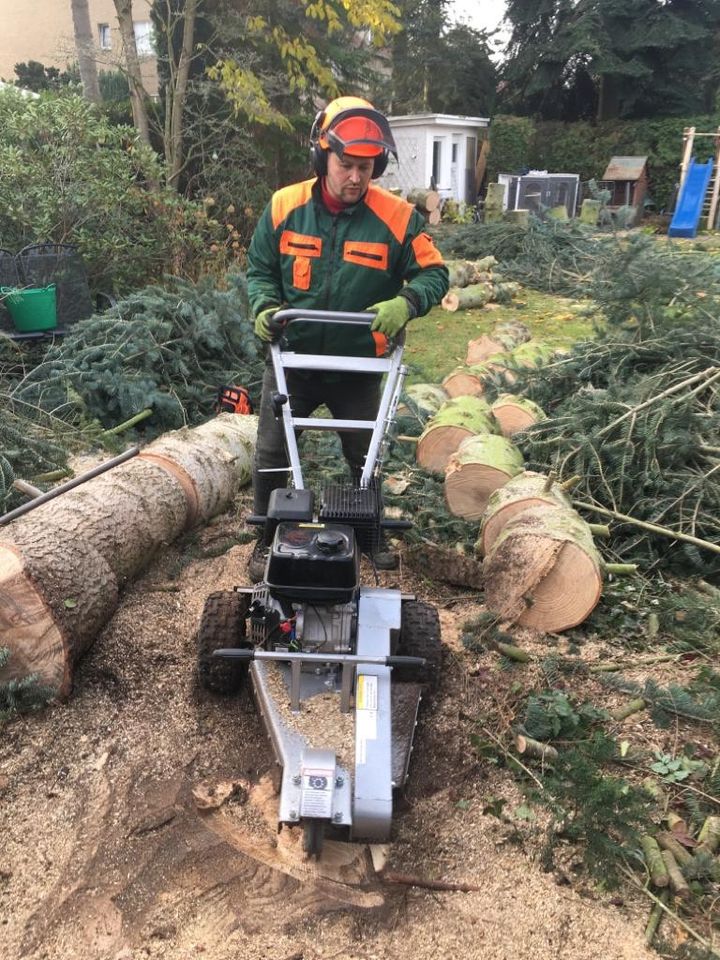 Vertikutierung, Gartenpflege, Baumfällung, Gartenarbeit in Falkensee