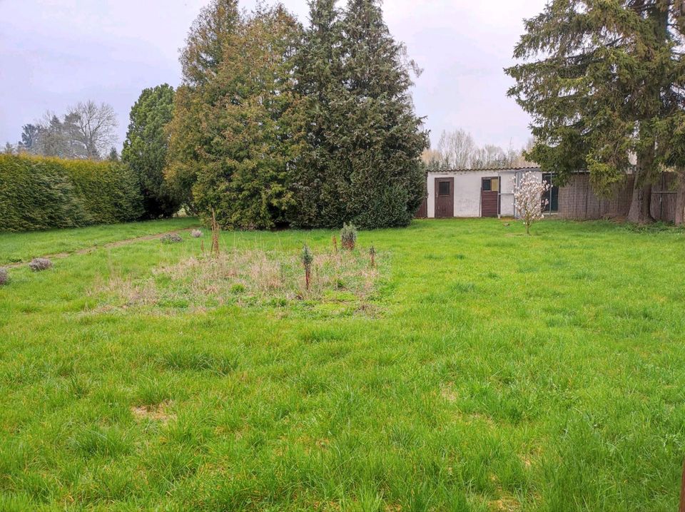 Vermiete Verpachte Wiese Wiesenfläche Garten Tierhaltung Solar in Gotha