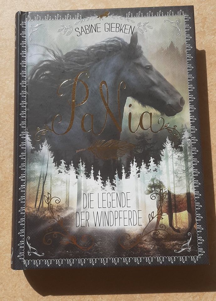 Schönes Pferdebuch: PaNia Die Legende der Windpferde in Gerabronn