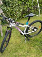 Jugend Fahrrad Ghost 26“ Zoll Hessen - Ebsdorfergrund Vorschau