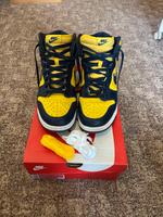 Nike Dunk High Michigan Gr. 44,5 Sachsen - Drebach Vorschau