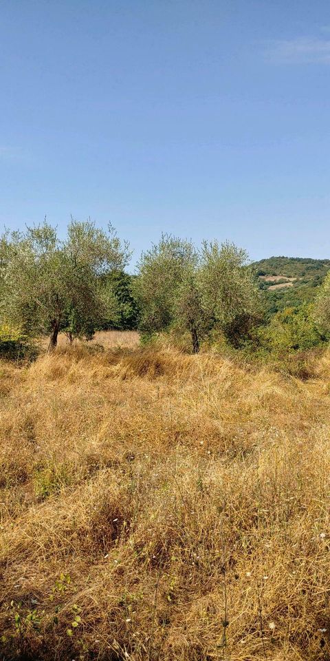 Haus Ruine TOSKANA Italien -> Auswandern Bauland Baugrundstück in Dannenberg (Elbe)