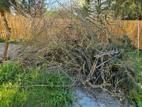 Holz zu verschenken!!! Sachsen-Anhalt - Bad Lauchstädt Vorschau