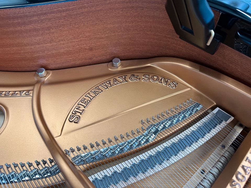 Steinway & Sons Flügel, Mod. O-180, 5 J. Garantie, AKTIONSPREIS! in Swisttal