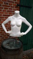 Schaufenster Torso FRAU. 85 cm Niedersachsen - Uplengen Vorschau