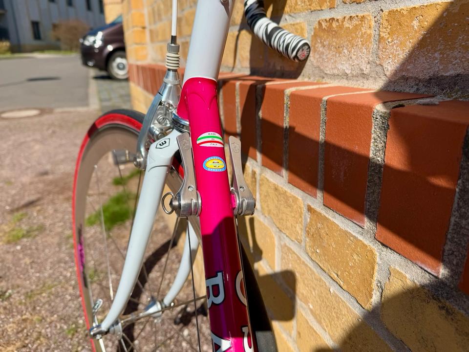 Basso Fior di Loto Rennrad mit Campagnolo Croce D‘Aune Shamal in Leipzig