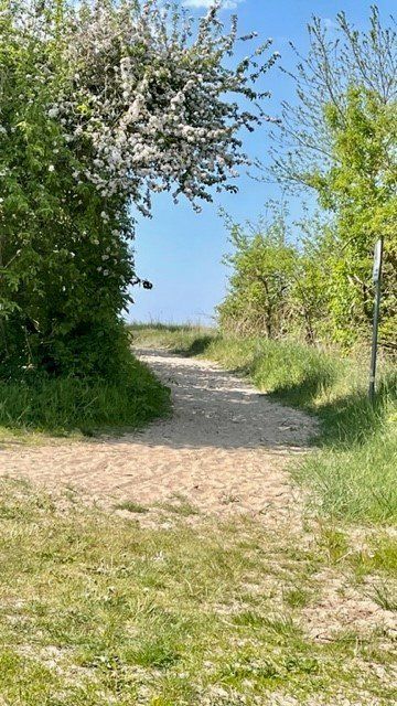 Ferienwohnung mit Blick auf den Breitling / Insel Poel in Poel